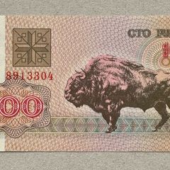 Belarus 100 Rubles 1992 Banknote