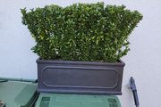 Trough planter