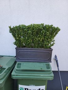 Trough planter