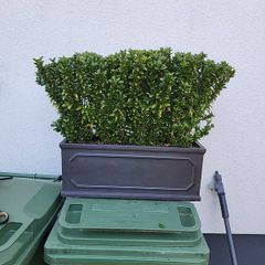 Trough planter