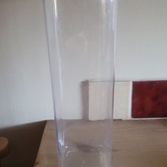 Free Plastic Spaghetti/Pasta Container