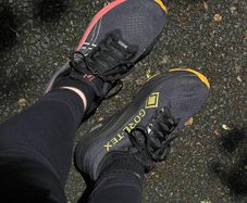 Asics Womens GT-2000 14 GTX Running Shoes
