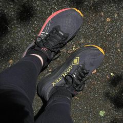 Asics Womens GT-2000 14 GTX Running Shoes