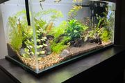 Aquarium full set