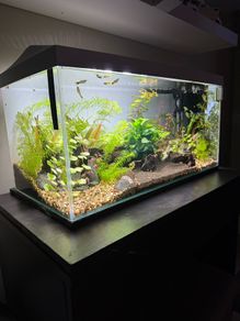 Aquarium full set