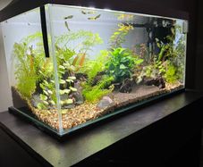 Aquarium full set