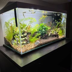 Aquarium full set