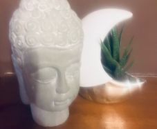 Buddha head