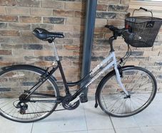 ladies city bike