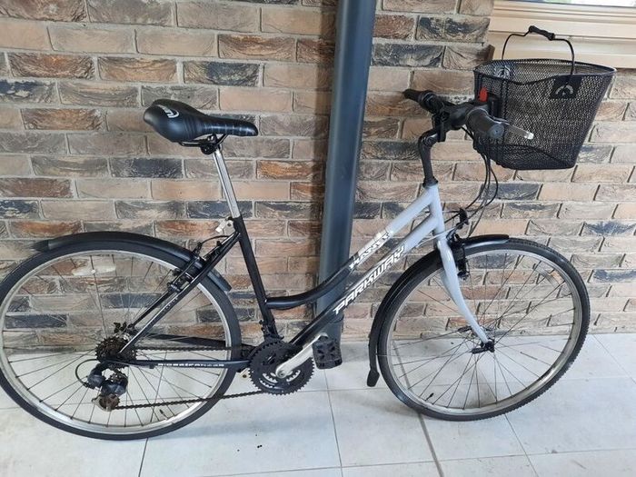 ladies hybrid( can deliver)