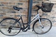 ladies bike( can deliver)