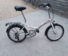 Adults Bike
