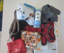 Puppy starter pack