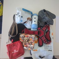 Puppy starter pack