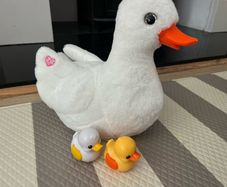 Pets Alive Mama Duck
