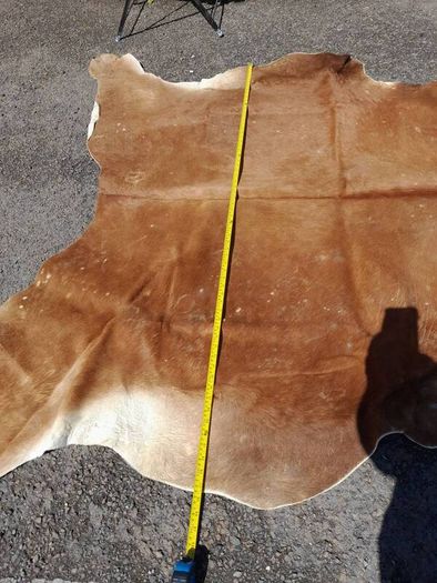 Large Cow Hide