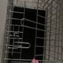Small dog crate Image 8