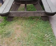 garden bench
