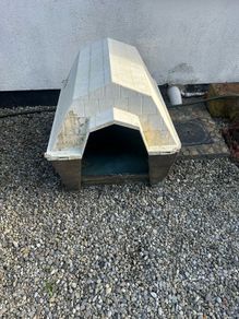 dog bed