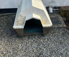 dog bed