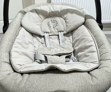 Joie Serina 2-in-1 Rocker/Swing Seat