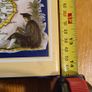 The County Maps Of Old England By Thomas Moule. Large Volume Hardback With Dustjacket In Very Good Condition. Image 4