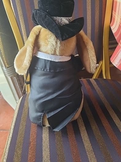Stage hound singing dog