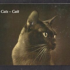 2014 Ireland Cats Commemorative Stamp Booklet Mint Never Hinged (MNH). Hibernian HB202