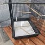 Bird cage Image 3