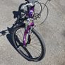 Giant 24" Hybrid Bike  8 Speed Image 2