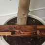 Handmade Wooden Wall Hook Rack | Rustic Key Holder / Coat Hooks Image 2