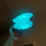 Light Up Shell Image 2