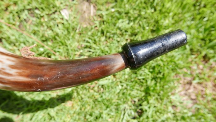 Vintage Hunting Horn 12"