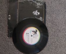 3 Vinyls