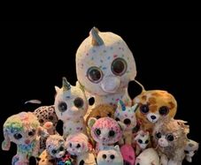 Beanie Boo Bundle