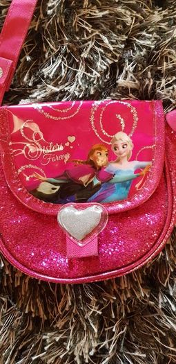 3 Princess Hairbands & 1 frozen Handbag.
