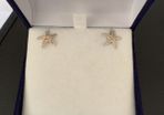 Sterling Silver Earring