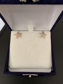 Sterling Silver Earring