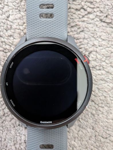 Garmin Forerunner 255: Slate Gray