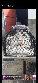 lobster pots for sale
