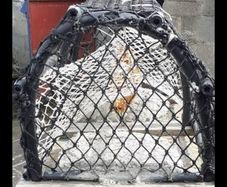 lobster pots for sale