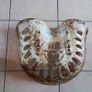 Antique And Collectables Image 2