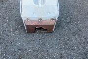seen a grass box