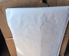 Large Padded Envelopes