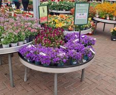 Ex Display stands x 20 ( various sizes)