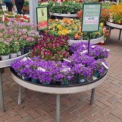 Ex Display stands x 20 ( various sizes)