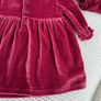 Gorgeous Carter's Baby velvet clothes Image 7