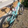 Team FT920 girls bike Image 3