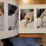 Little Polar Bears by Thorsten Milse. Image 10