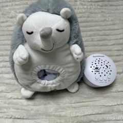 Baby musical nightlight